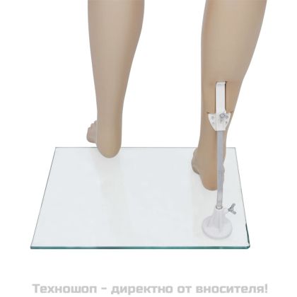 Манекен, дамски силует A