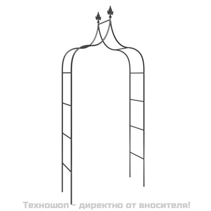 Градински арки, 2 бр, черни, 120x38x260 см, стомана