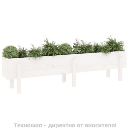 Градинско повдигнато легло, бяло, 160x30x38 см, бор масив