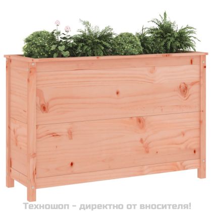 Градинско повдигнато легло 119,5x40x78 см дугласко дърво масив