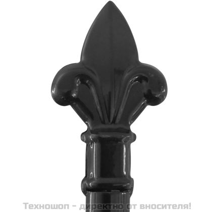 Двойна градинска врата със заострени върхове, 400x248 см