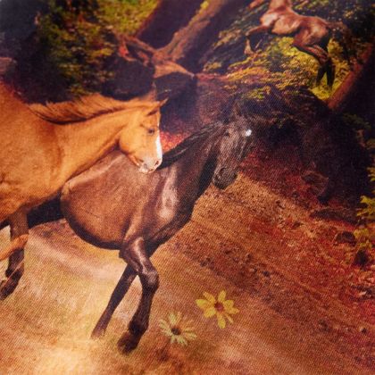 Детска рокля с дълъг ръкав, коняк, 92