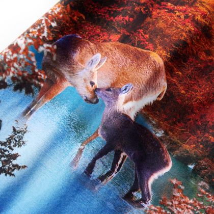 Детска рокля с дълъг ръкав, тъмносиня, 92