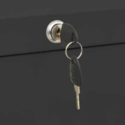 Шкаф за папки, антрацит, 90x46x134 cм, стомана