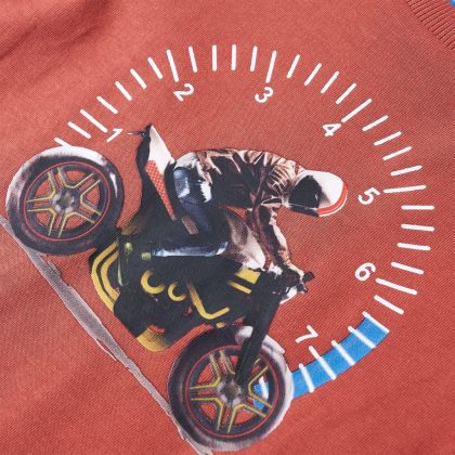 Детска тениска с дълъг ръкав, къна, 116