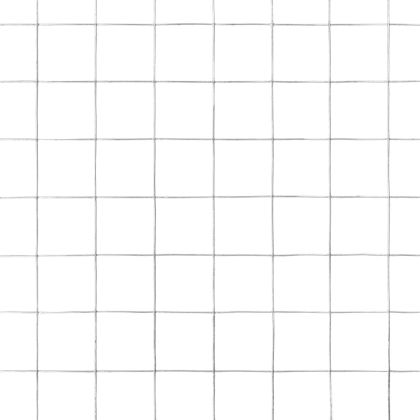 Кокошкарска мрежа, поцинкована стомана, 10x0,5 м, сребриста