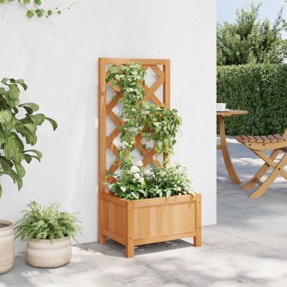 Кашпа с пергола, кафяво, масивна ела