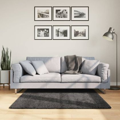 Шаги килим с дълъг косъм "PAMPLONA" модерен антрацит 120x120 см