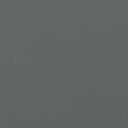 Прибираща се странична тента, антрацитна, 160x300 см