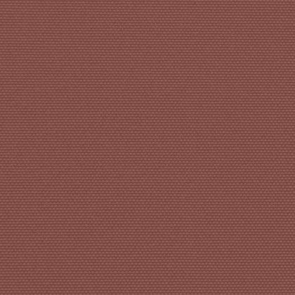 Прибираща се странична тента, кафява, 220x1000 см