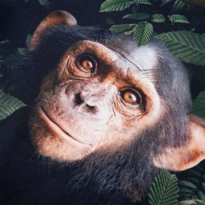 Детски суитшърт, каки, 104