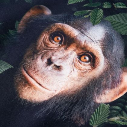 Детски суитшърт, тъмно каки, 104