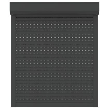 Външна ролетна щора, алуминий, 100x120 см, антрацит