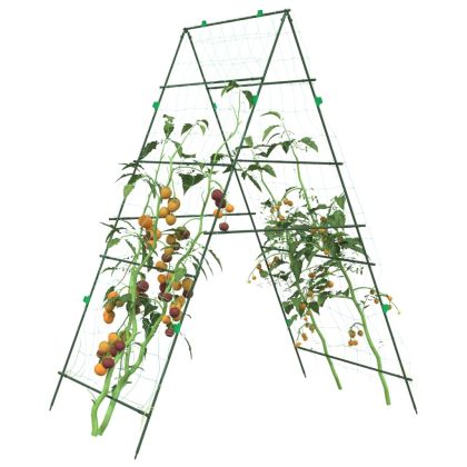Градински перголи за увивни растения 3 бр А-рамка стомана