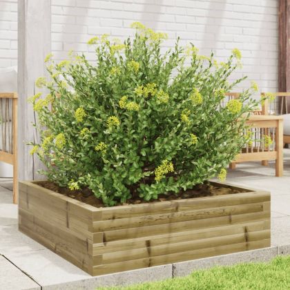 Градинска кашпа, 80x80x23 см, импрегнирано борово дърво