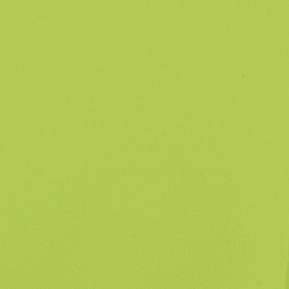 Ремарке за колело за любимци зелен Оксфорд плат и желязо