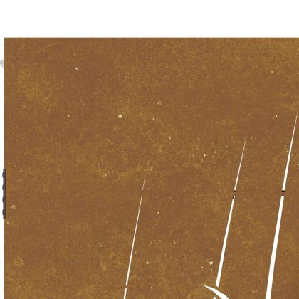 Градинска порта 85x200 см, дизайн с кортен стомана и трева