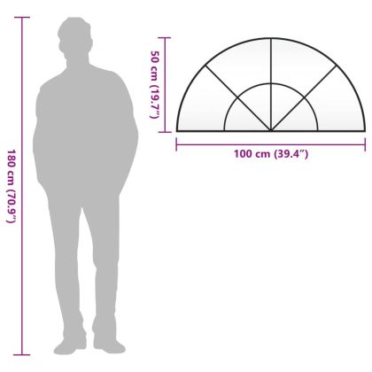 Стенно огледало, черно, 100x50 см, арка, желязо