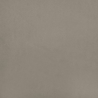 2-местно разтегателно канапе с 2 възглавници светлосиво, кадифе