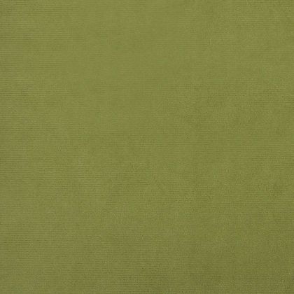 2-местно разтегателно канапе, светлозелено, кадифе