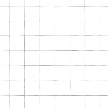 Кокошкарска мрежа, поцинкована стомана, 10x1,5 м, сребриста