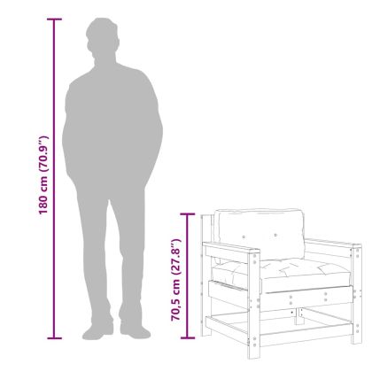 Градински столове с възглавници, 2 бр, бор масив