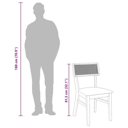 Трапезни столове с възглавници 2 бр масивна дървесина гума