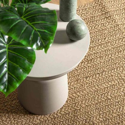 Килим ZIZUR Кафяво ПП