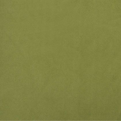 2-местно разтегателно канапе, светлозелено, кадифе