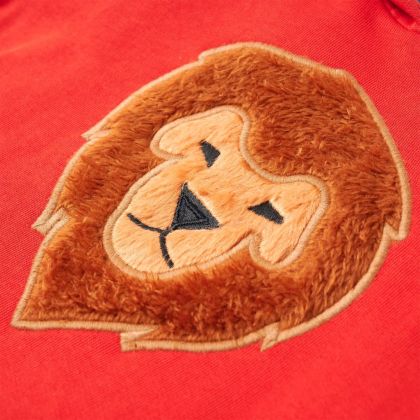 Детски суитшърт с качулка, червен, 104