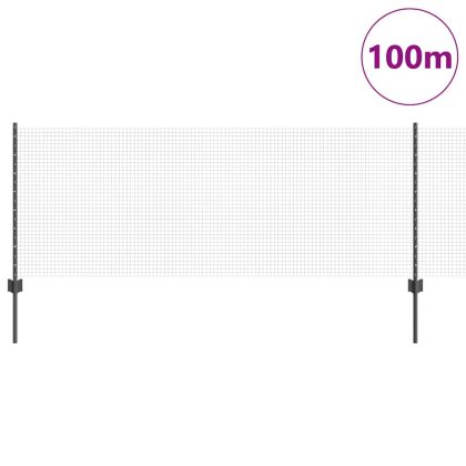 Ограда и колче Сив 0,8 x 100 м Стомана