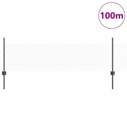 Ограда и колче Сив 0,5 x 100 м Стомана