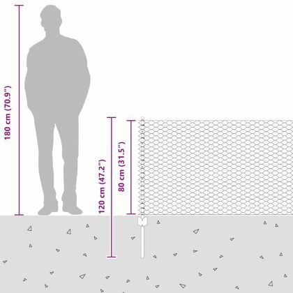 Ограда и колче Сребрист 0,8 x 25 m Стомана