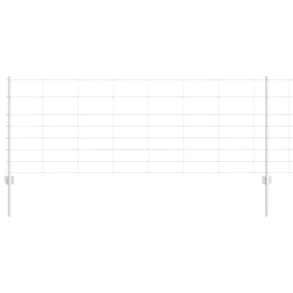 Ограда и колче Сребрист 0,8 x 50 м Стомана