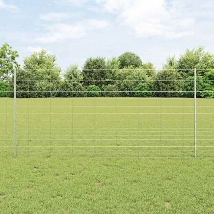 Ограда и колче Сребрист 1,2 x 50 m Стомана