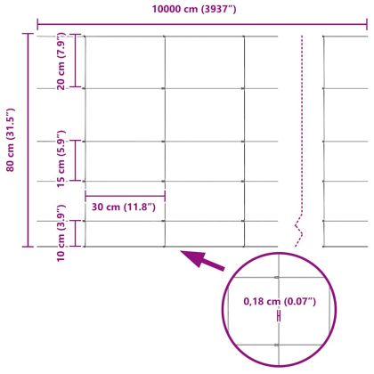 Ограда и колче Сребрист 0,8 x 100 м Стомана
