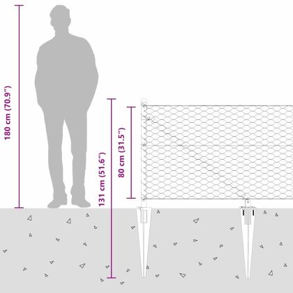 Оградa с колчета Сребрист 0.8 x 100 м Покрит със PVC стомана