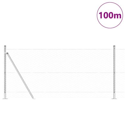 Оградa с колчета Сребрист 0.8 x 100 м Покрит със PVC стомана