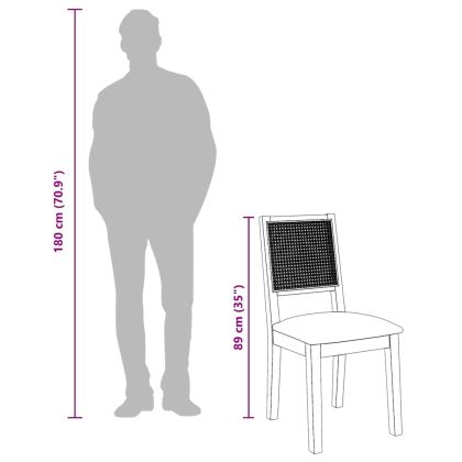 Трапезни столове с възглавници 2 бр масивна дървесина гума