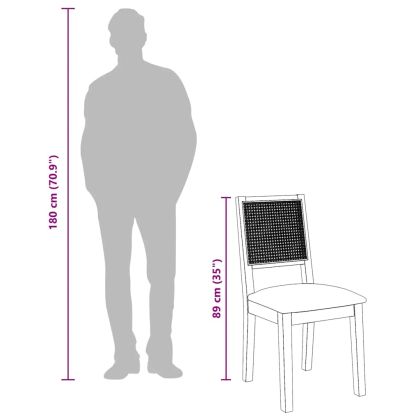 Трапезни столове с възглавници 2 бр масивна дървесина гума