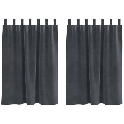 Затъмняващи завеси 2 pcs Светлосиво 140 x 140 cm Кадифе