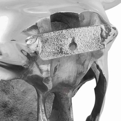 Биков череп Сребрист 34 x 13 x 53 см Алуминий