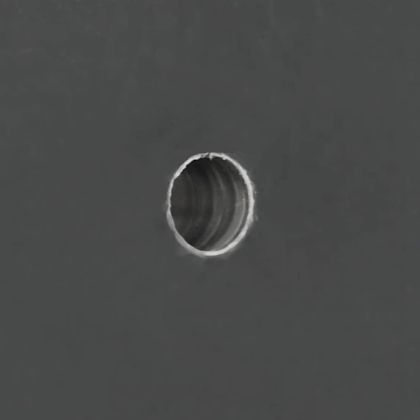 Четки за говеда Черен и бял 50 x 10 x 6.5 см