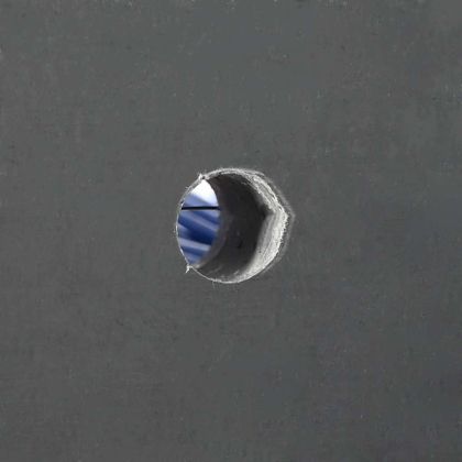 Четки за говеда Червен и син 50 x 10 x 6.5 см