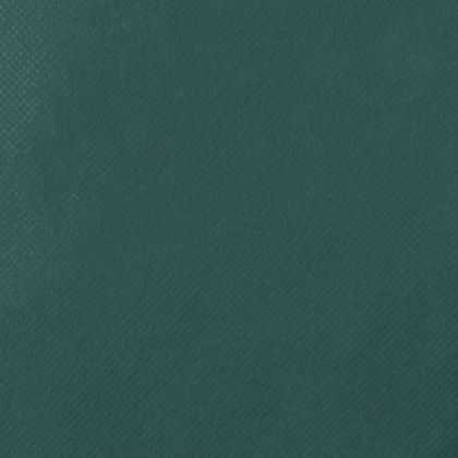 Покривала за растения с шнур, 12 бр, 70 г/м², 0,8x1,2 м