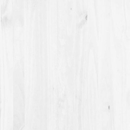 Лавка за съхранение на входа ASKIM Бяло 100 x 39 x 62 см