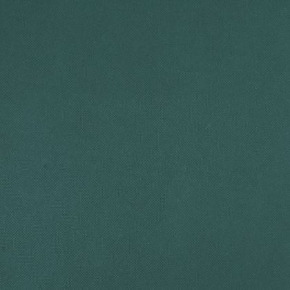 Зимни покривала за растения, 2 ролки, 70 г/м², 50x1,6 м