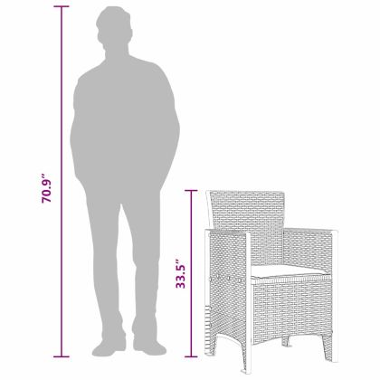 Градински стол 2 pcs Антрацит 53 x 49 x 85 см PP