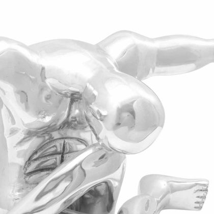 Скулптура Сребрист 91,5 x 32 x 33 см Алуминий