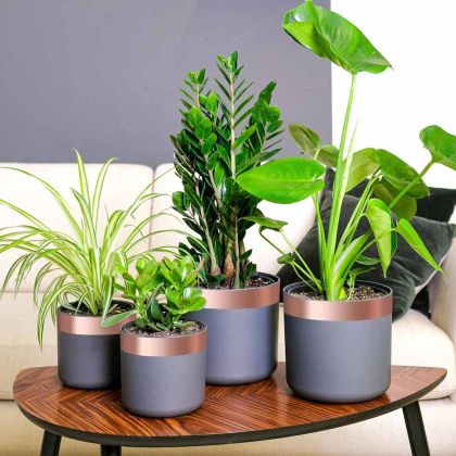 Двуостра медна лента Мед 2000 x 5 см Мед